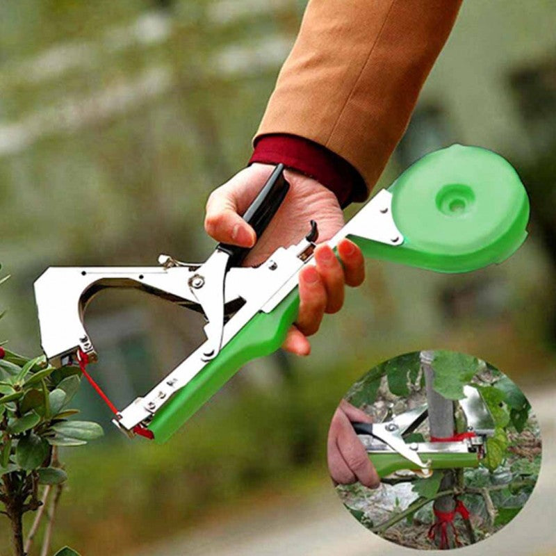 8abc7376702734f88934a88ebc8d1d62 8abc7376702734f88934a88ebc8d1d62